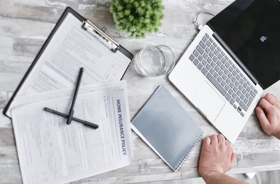 Dubai Company Setup in 2026: Choose a Structure That Banks and Visas Accept